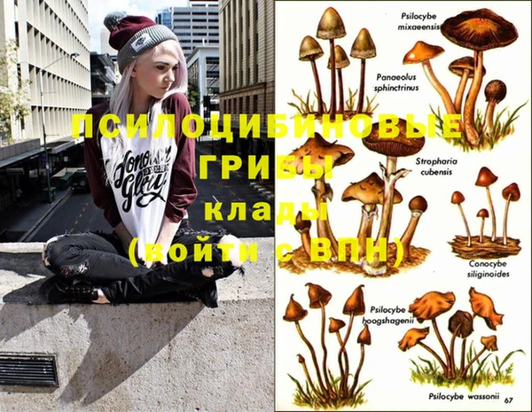 твердый Кинешма