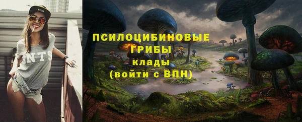 твердый Кинешма